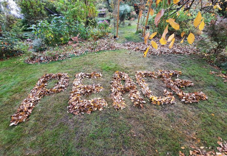 aus aktuellem Anlass..