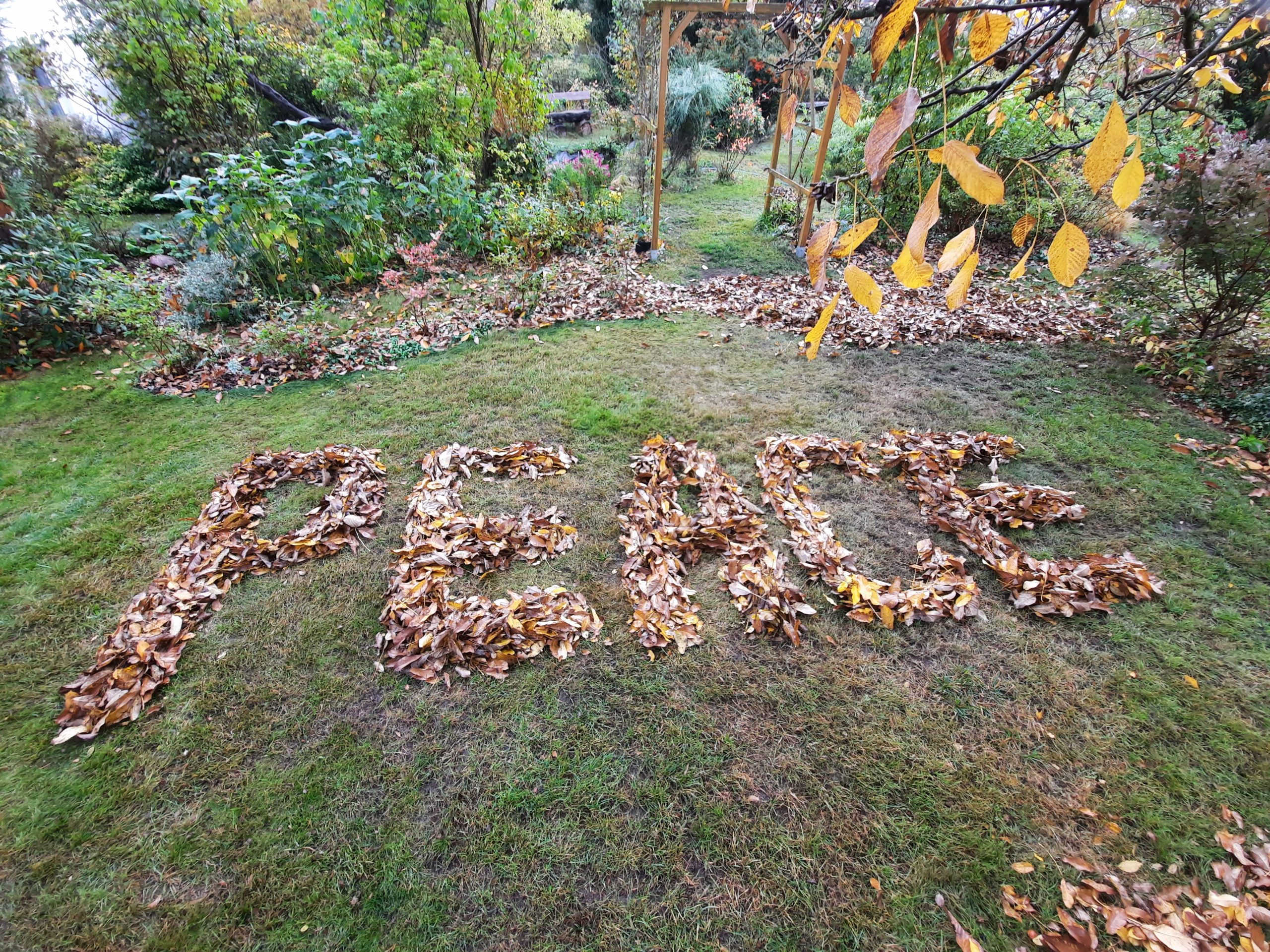 Laub als Schriftzug peace